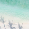 Palm Tree Shadows Beach. Maldives Tropical Paradise.