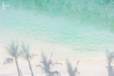 Palm Tree Shadows Beach. Maldives Tropical Paradise.