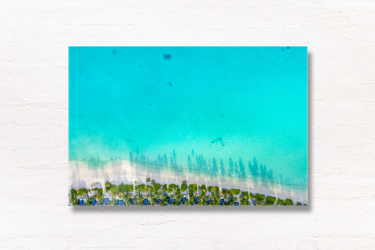 Palm Trees In Paradise. Aerial View above Maldives Island