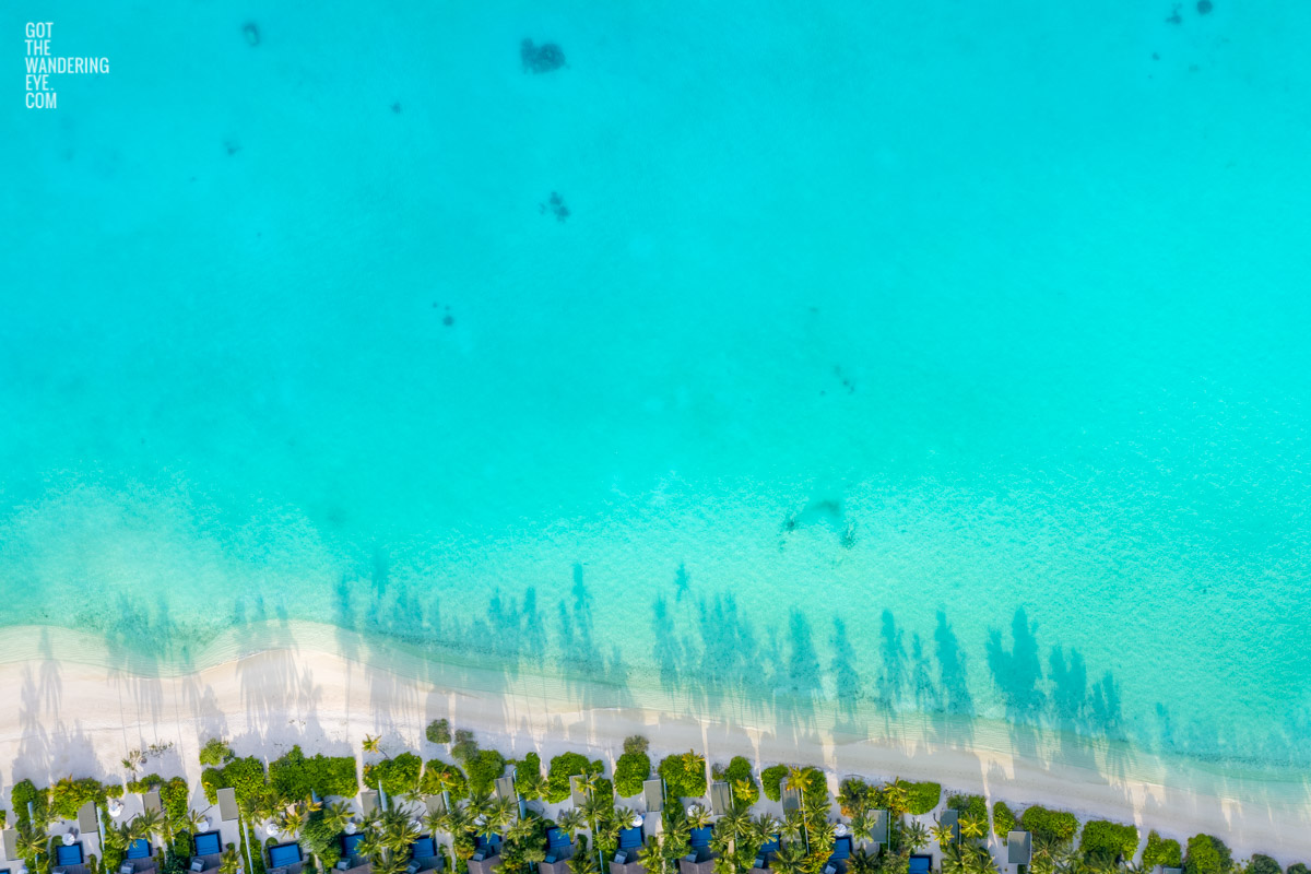 Palm Trees In Paradise. Aerial View above Maldives Island