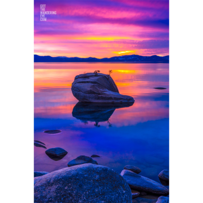 Bonsai Rock Lake Tahoe. Incredible pink sky sunset.