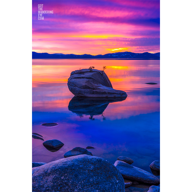 Bonsai Rock Lake Tahoe. Incredible pink sky sunset.