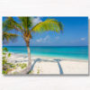 Palm Tree Tropical Paradise. Beautiful paradise Maldives