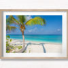 Palm Tree Tropical Paradise. Beautiful paradise Maldives