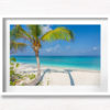 Palm Tree Tropical Paradise. Beautiful paradise Maldives