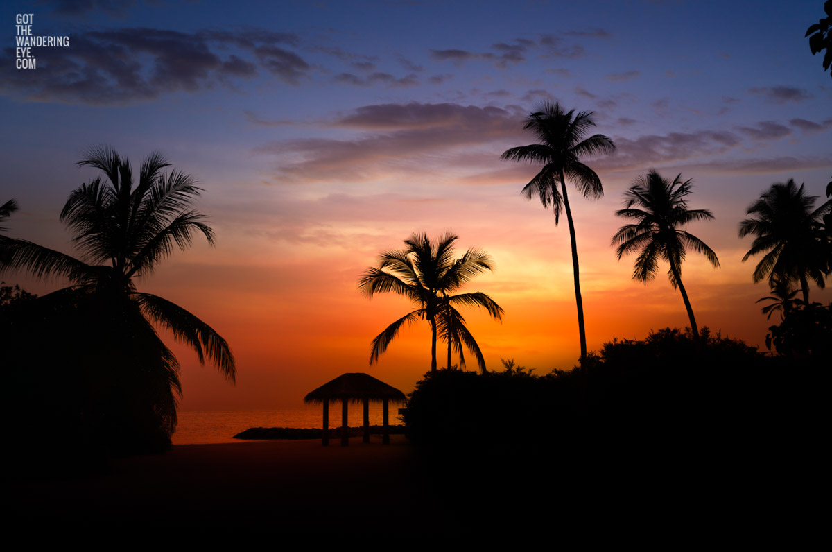 Purple and orange sunset sky with black silhouette palm trees in the Maldives. Palm Tree Beach Hut