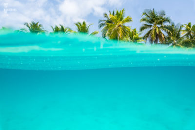 Under Over Beach. Tropical Island palmtree paradise, Maldives