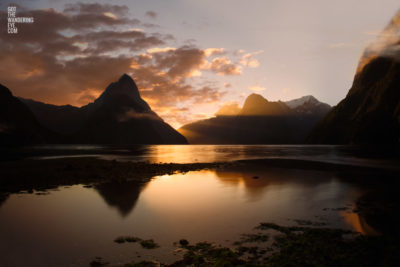 Milford Sound Sunset New Zealand