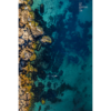 Secret Swimming Spot. Gordons Bay Coogee.
