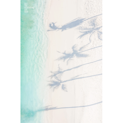 Tropical Palm Tree Shadow on Maldives