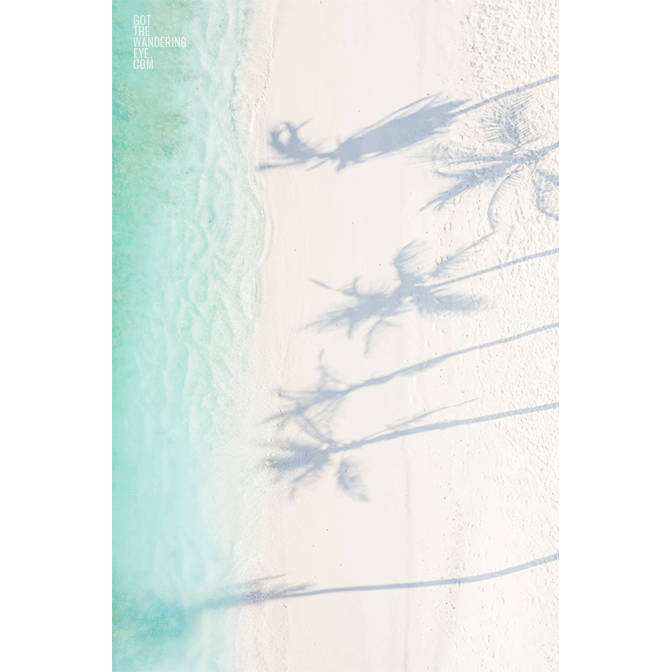 Tropical Palm Tree Shadow on Maldives