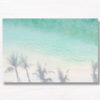 Palm Tree Shadows Beach. Maldives Tropical Paradise.
