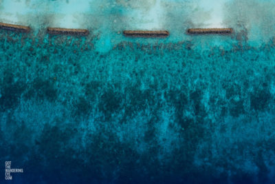 Maldives Coral Reef.