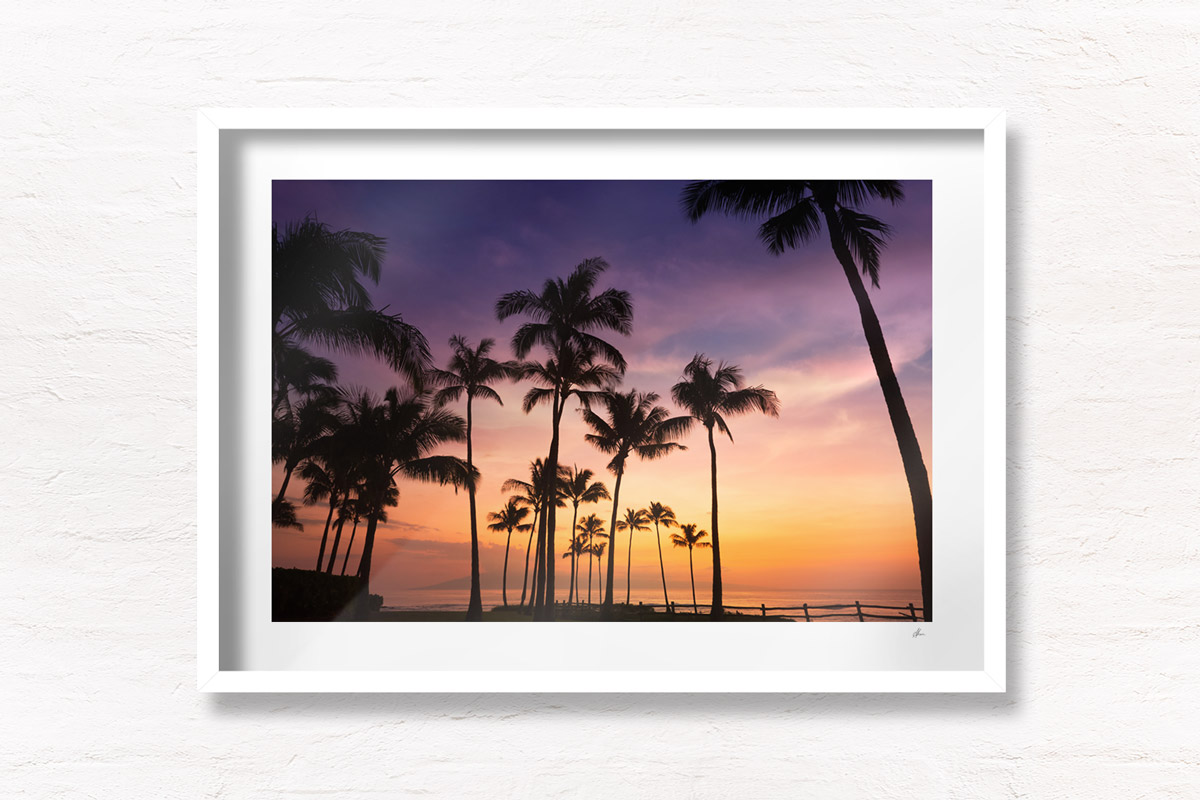 Hawaii Sunset. Purple orange palm tree skies from Maui Hawaii