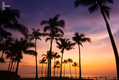 Hawaii Sunset. Purple orange palm tree skies from Maui Hawaii