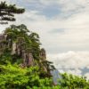 Yellow Mountains Trees