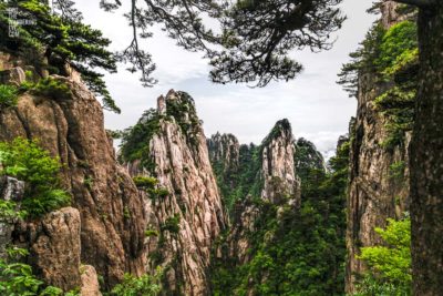 Yellow Mountains China Mountain Forest Peaks