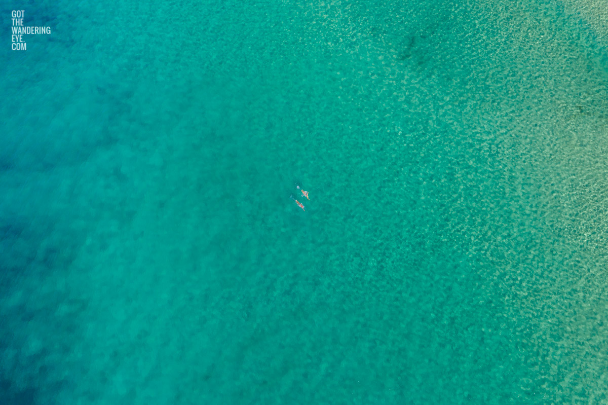 Aerial photograph of couple of swimmers swimming in the clear ocean waters of Bondi Beach, Sydney
