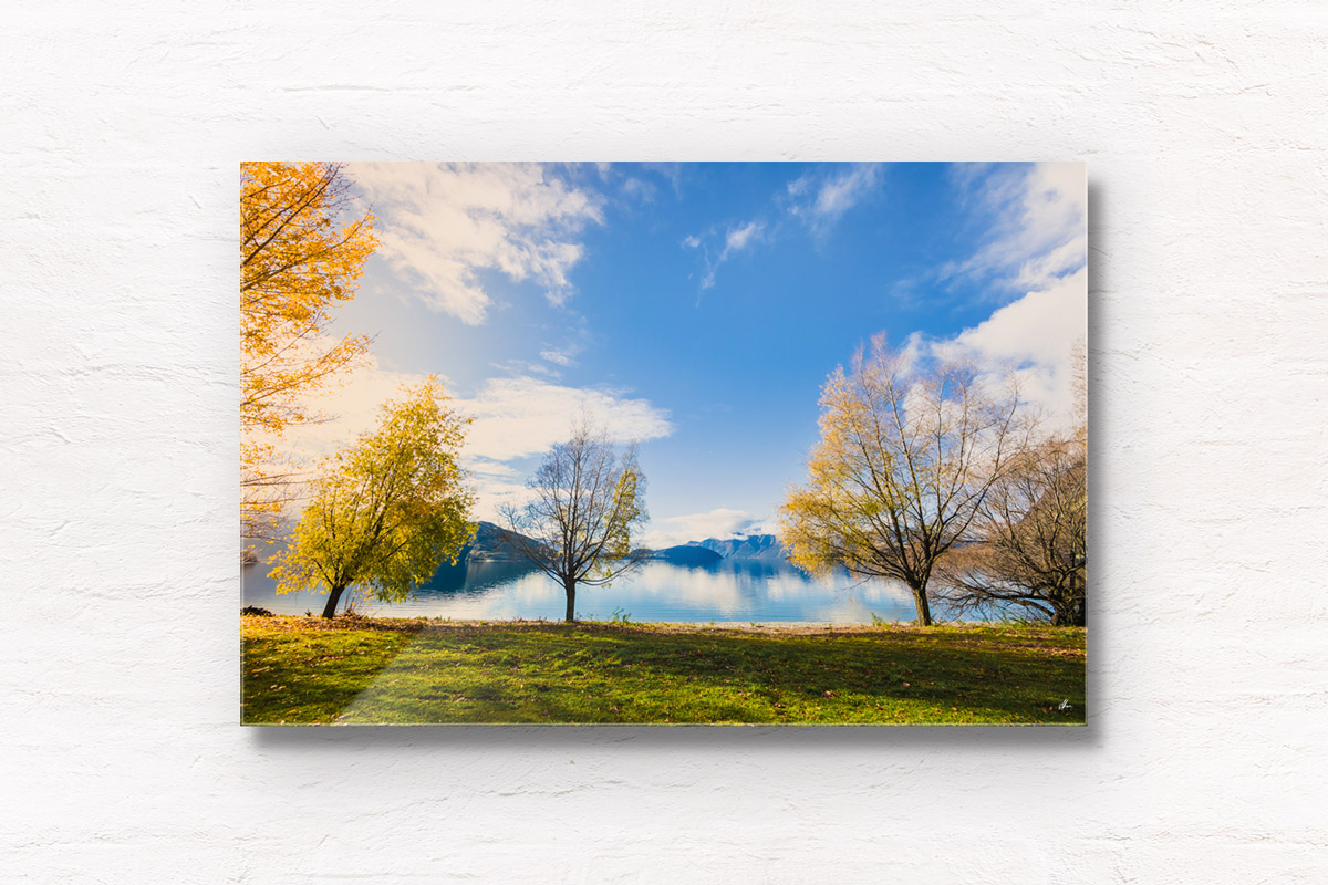 Fine Art Photography Print. Golden autumn leaves by the Lake. Lake Wanaka, New Zealand