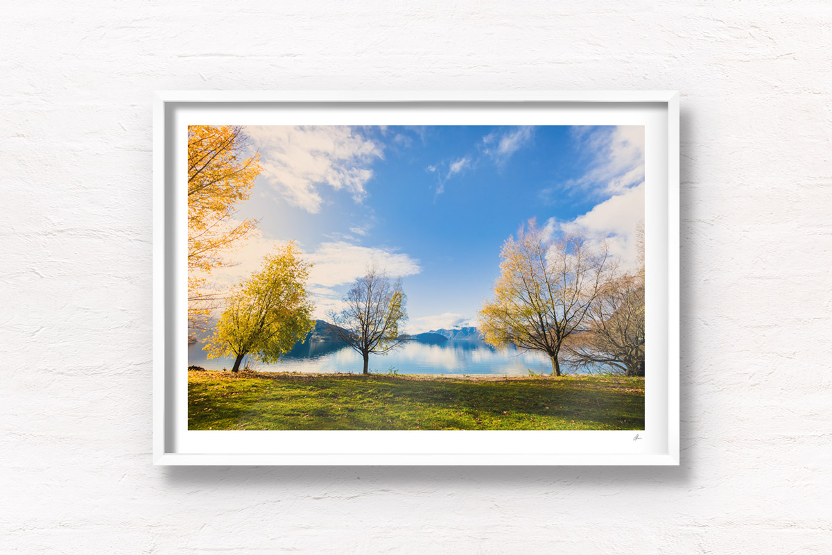 Fine Art Photography Print. Golden autumn leaves by the Lake. Lake Wanaka, New Zealand