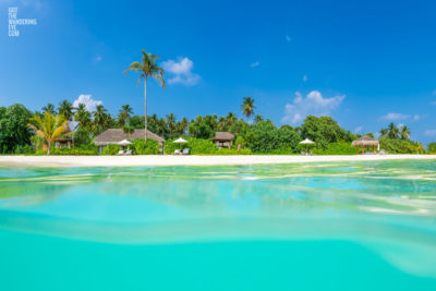 Underwater oceanscape photograph, looking back towards palmtrees and the the Maldivian Island.
