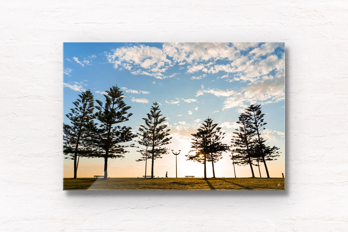 Fine Art Photography Print. Sunrise silhouettes of pine trees and man walking along Maroubra Beach