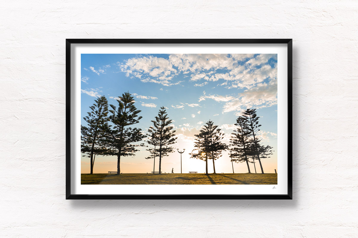 Fine Art Photography Print. Sunrise silhouettes of pine trees and man walking along Maroubra Beach