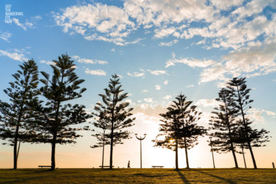 Fine Art Photography Print. Sunrise silhouettes of pine trees and man walking along Maroubra Beach