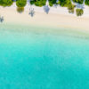 Aerial oceanscape of palm tree shadows on beautiful Maldivian Beach. Palm Tree Beach Aerial