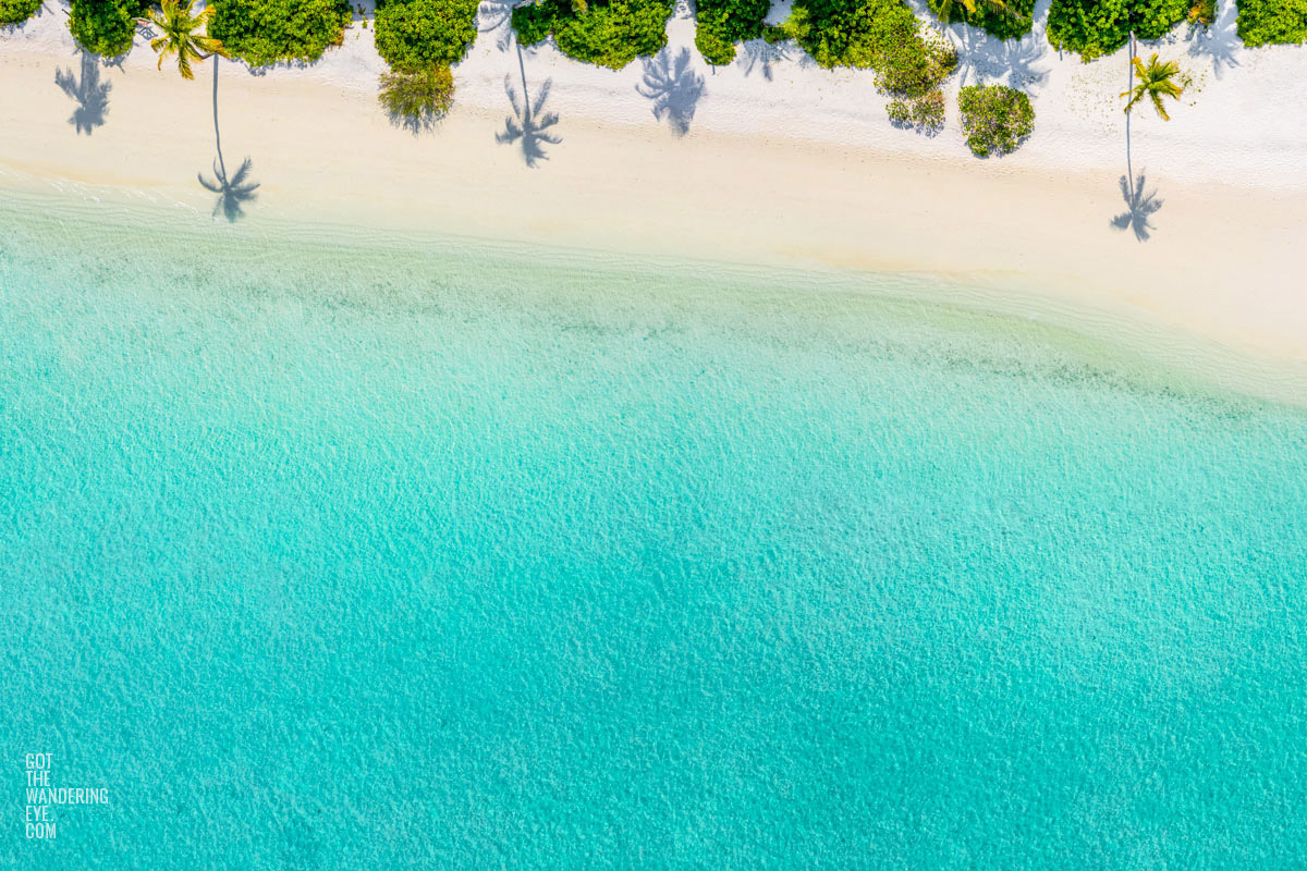 Aerial oceanscape of palm tree shadows on beautiful Maldivian Beach. Palm Tree Beach Aerial