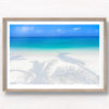 Fine Art Photography Print. Oceanscape of a tropical paradise in Maldives, with palm tree shadows and clear water.