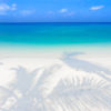 Palm Tree Shadow Beach. Oceanscape of a tropical paradise in Maldives.