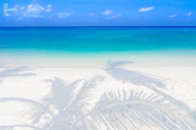 Palm Tree Shadow Beach. Oceanscape of a tropical paradise in Maldives.