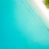 Aerial oceanscape above Clear Blue Maldives. Palm tree paradise