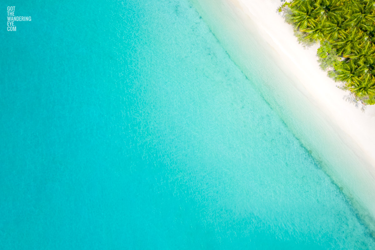 Aerial oceanscape above Clear Blue Maldives. Palm tree paradise