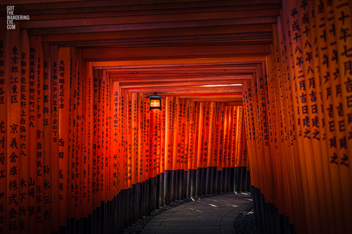 Red torii gates and lantern of Fushimi Inari Taisha Shrine in Kyoto. Fushimi Inari Taisha Shrine