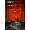 Red torii gates at Fushimi Inari Taisha Shrine in Kyoto.