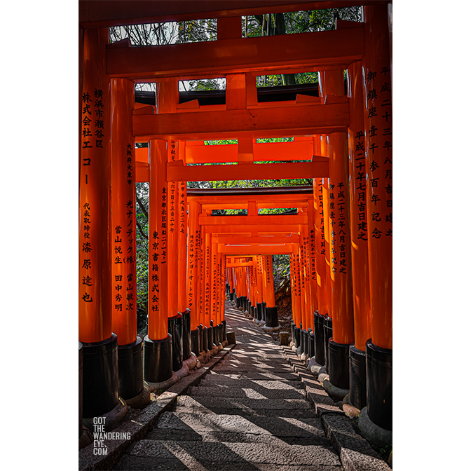Red torii gates at Fushimi Inari Taisha Shrine in Kyoto.