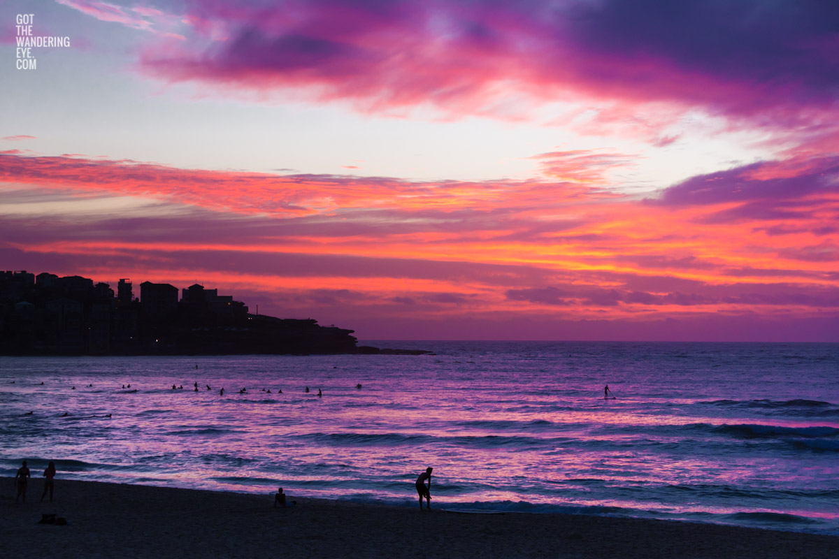 Spectacular pink sky sunrise looking towards Ben Buckler, Bondi Beach