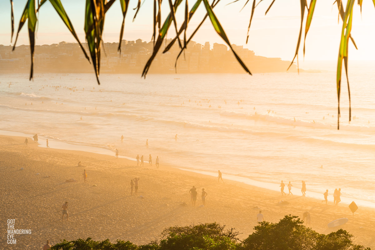 Golden Sunrise Bondi Beach Sydney