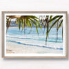 Looking through tropical palms through to North Bondi