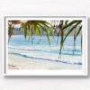 Looking through tropical palms through to North Bondi