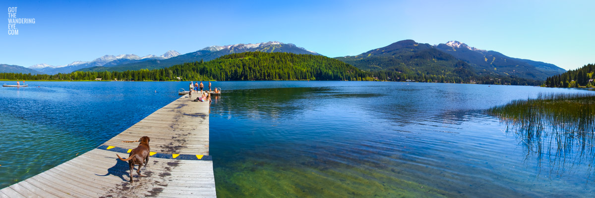 Dog with stick in front of panoramic view of Alta Lake in Whistler, Canada