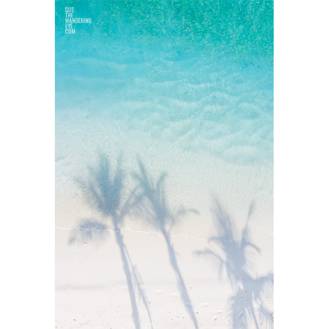 Aerial photo above palm trees shadows on secluded Maldivian Beach