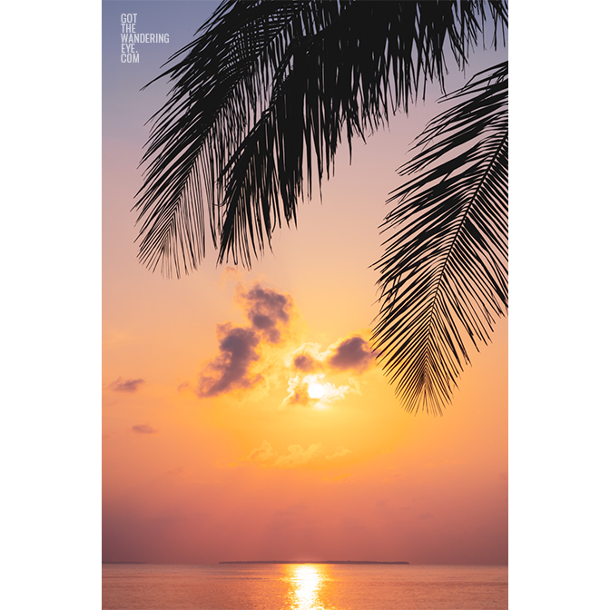 Tropical Summer. Gorgeous sunrise peeking through palm tree silhouette in the Maldives