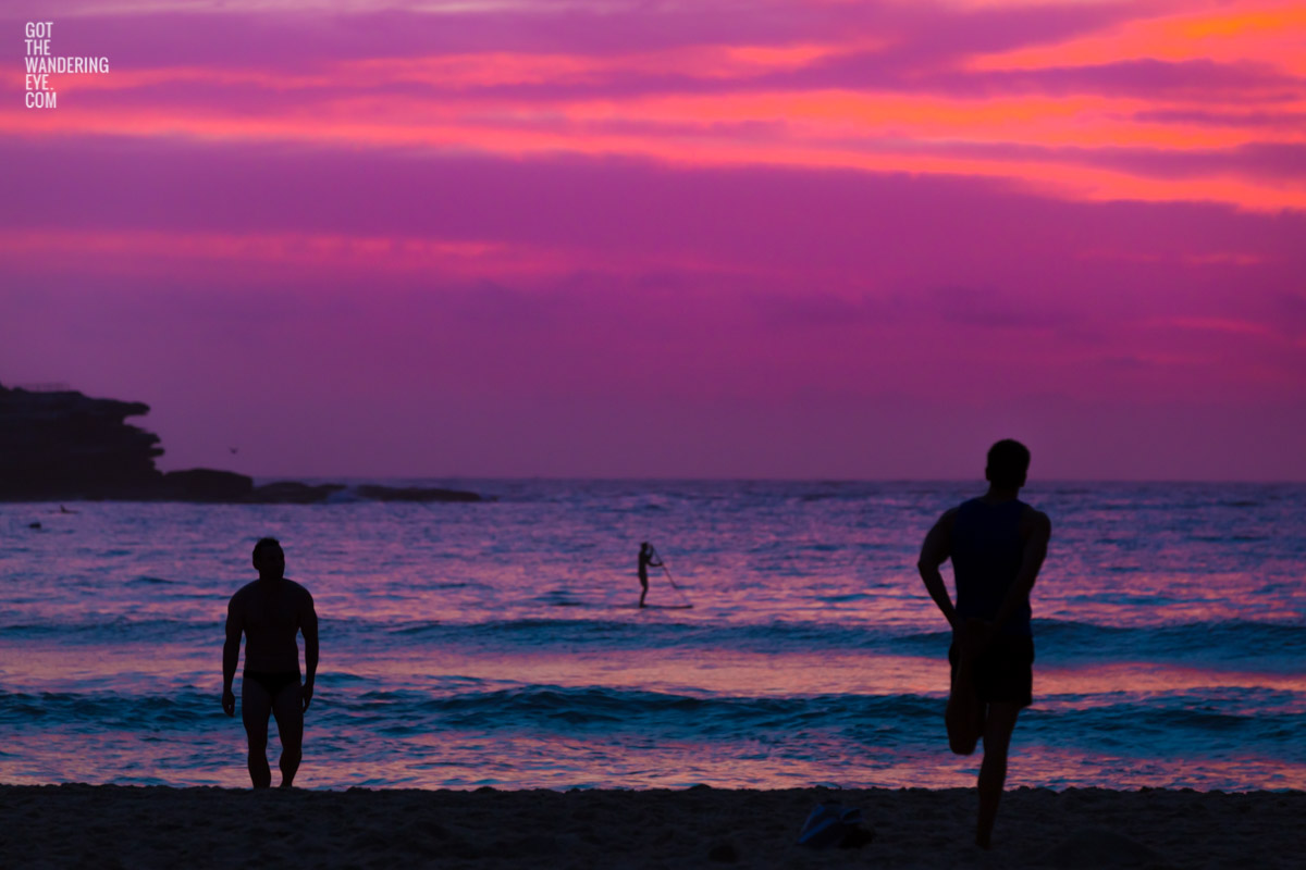 Silhouettes of people enjoy a spectacular pink sky sunrise looking towards Ben Buckler, Bondi Beach