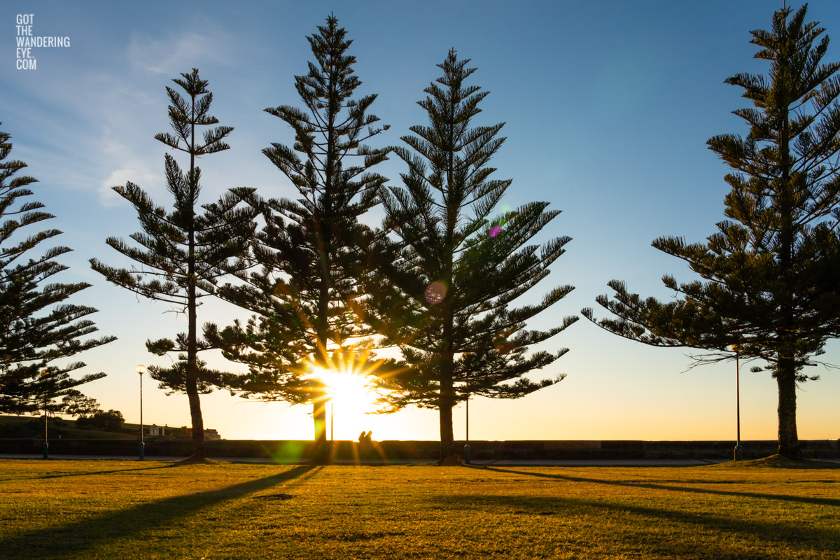 A couple enjoying a beautiful sunrise and morning walk along Coogee Beach