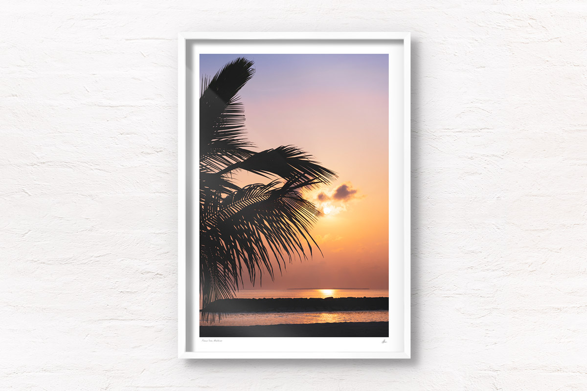 Sunrise over the Maldives with silhouette of palm tree