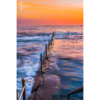 Long exposure photo of Wylies Baths ocean rockpool during sunrise at Coogee