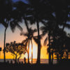 Waikiki Beach Sunset Silhouettes.